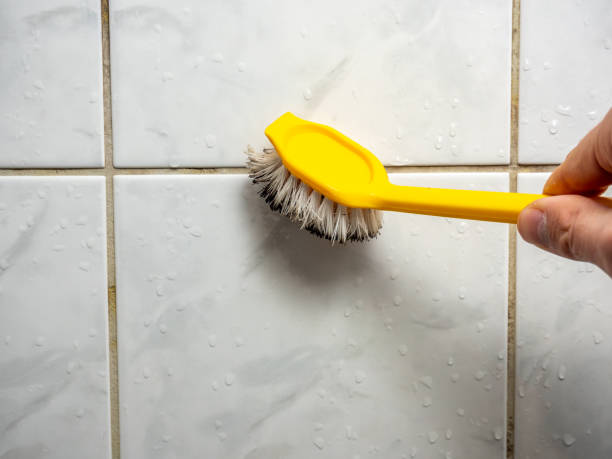 Best Local Mold Removal Service  in Pond Creek, OK
