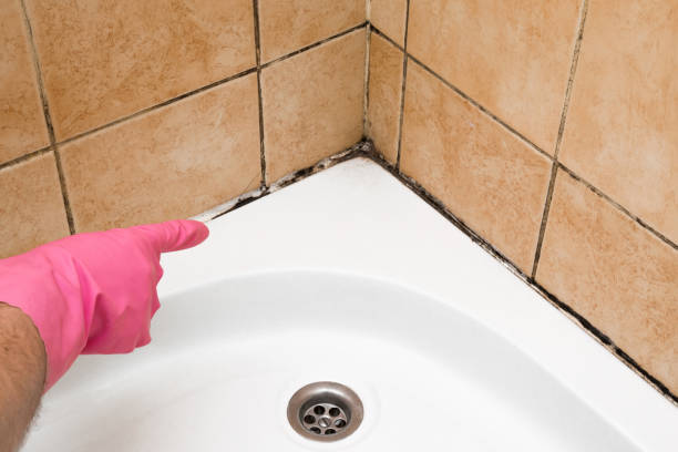 Best Professional Mold Removal  in Pond Creek, OK